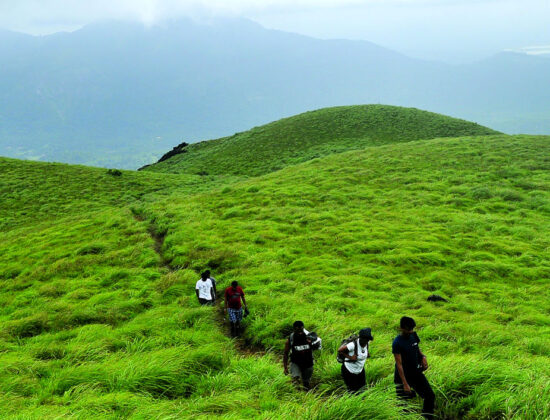 Discover Kerala Holidays