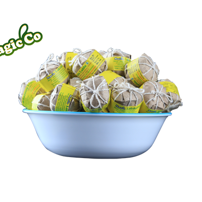 Magicco Coconut Products