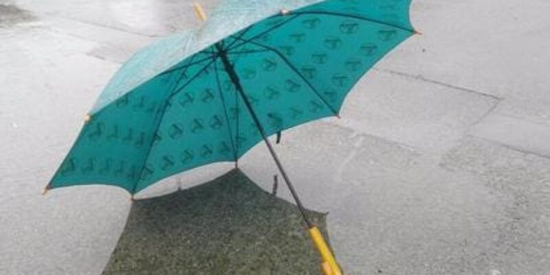 The Popular Umbrella Mfg Co.