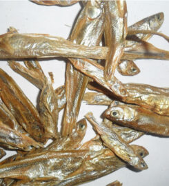 BC Dry fish