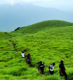 Discover Kerala Holidays