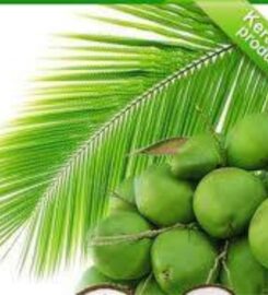 Keratech Coconut Oil Manufacturing Company