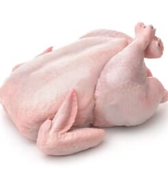 Gold Chick Hatcheries & Foods Ltd