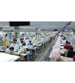 Panorama Exports Private Limited