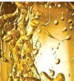 Gulati Lubricants and Chemicals