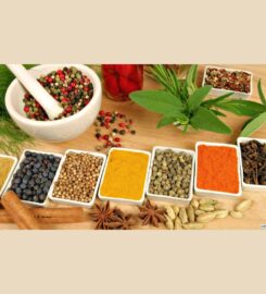 Prakrithe Ayurveda Hospital