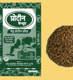 CB Group – AGRO FOOD PVT. LTD.