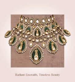 Achal Jewels PVT LTD
