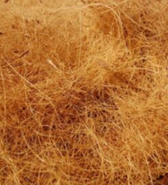 Afsar Coir Exports