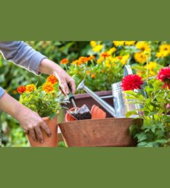 Amruth Organic Fertilizers | Organic Fertilizer Manufactures