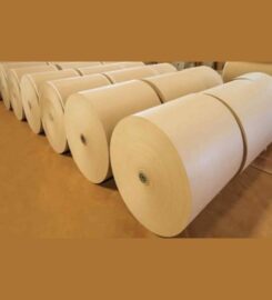 Anira Paper Mills Pvt. Ltd.
