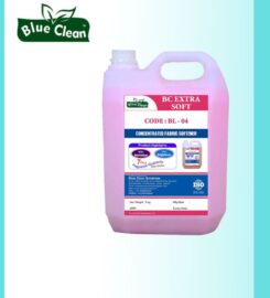 BLUE CLEAN SOLUTIONS