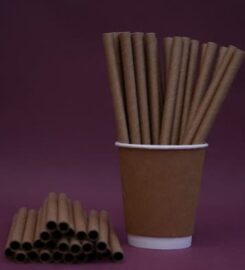 Bio-Pick Disposable Industry