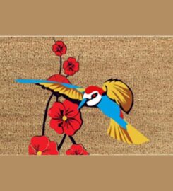 COIR REX