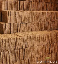 CoirPlus International – Manufacturers of Coconut coir substrates and garden articles