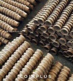 CoirPlus International – Manufacturers of Coconut coir substrates and garden articles
