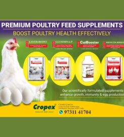 Cropex Limited | Biostimulants, Specialty Fertilizers and Micronutrients