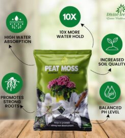 Divine Tree | agricultural, horticultural, gardening