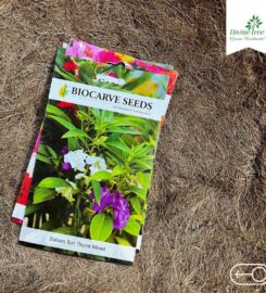 Divine Tree | agricultural, horticultural, gardening