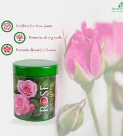 Divine Tree | agricultural, horticultural, gardening