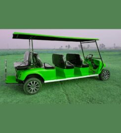 E Magic Electric | Electric golf carts manufacturer
