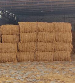 Kali coir industries – COIRHUB
