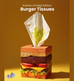 Kosher Tissue Products Pvt Ltd