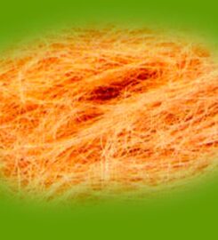 National Coir