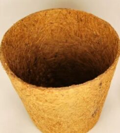 Neyyattinkara Coir Cluster