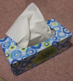 PEACOCK PAPER PRODUCTS