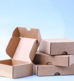 Paper Bag, Box, Paper Items /kozhikode- Paper Town