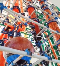 Precious Scientific Glass Works