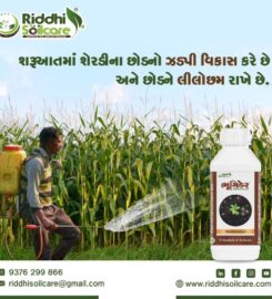 RIDDHI SOILCARE | Fertilizers & pesticides