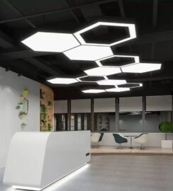 RUDRALITE | LED LIGHT Manufacturer