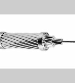 Rajasthan Cables And Conductors Private Limited