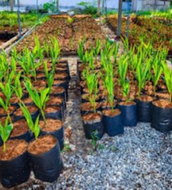 SP Coir Products