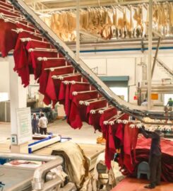 Sara leather industries (footwear division)