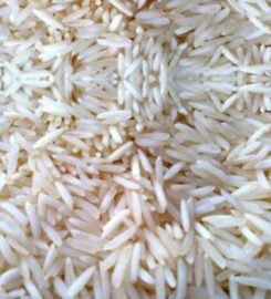 Sharika Food Manufacturers India Pvt Ltd