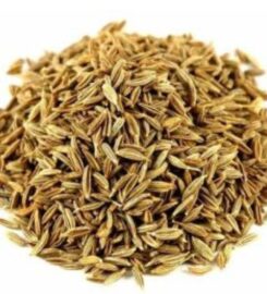 Sharika Food Manufacturers India Pvt Ltd