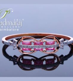 Sri Padmaraj Jewellers