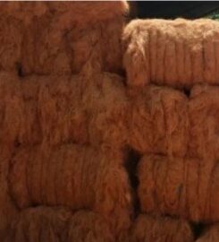 St Mary's Coir Industries