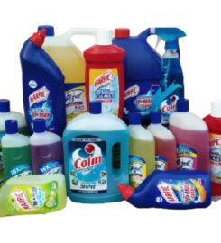Theeran Care India Private Limited