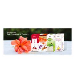 Real Fragrances Private Limited | Incense stick manufacturer
