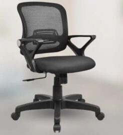 Wani Enterprises