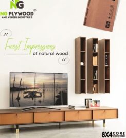 NG Plywood and Veneer Industries