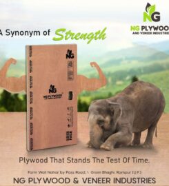 NG Plywood and Veneer Industries
