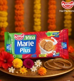 Anmol Industries Limited – Bhubaneswar Unit