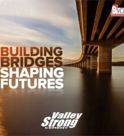 Barak Valley Cement Limited