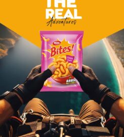 LAXMI SNACKS PVT. LTD.