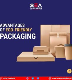 Sea packaging | Corrugated Boxes manufacturer